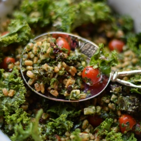 Farro and Kale Salad with Currants, Parmesan and Lemon Dressing