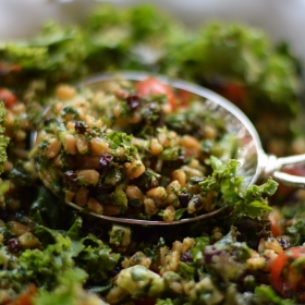 Farro and Kale Salad with Currants, Parmesan and Lemon Dressing